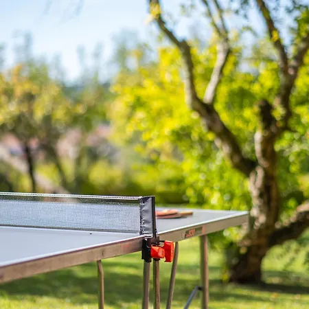 206 * Paredes de Coura