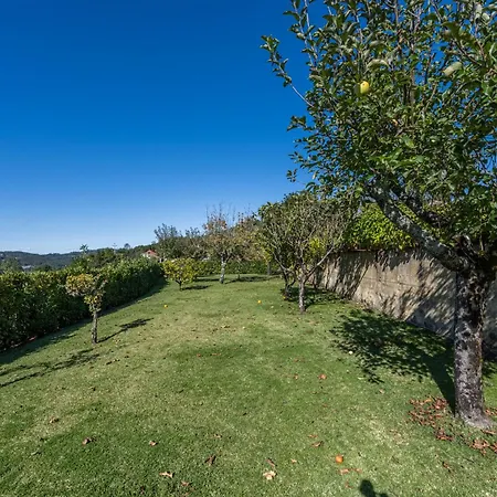 206 * Paredes de Coura