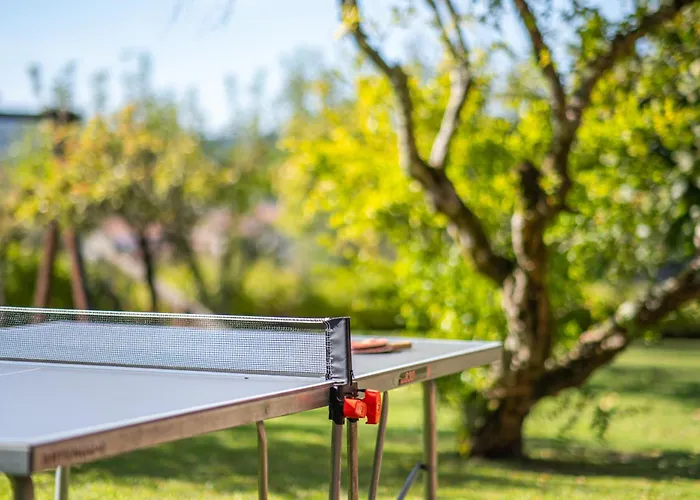 206 * Paredes de Coura